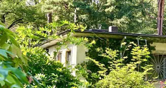 von_poll_real_estate_property_25213023_image_2