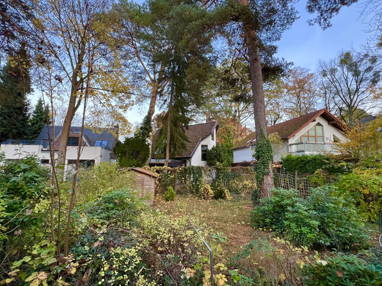 Blick in den herbstlichen Garten