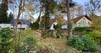 von_poll_real_estate_property_25213023_image_4