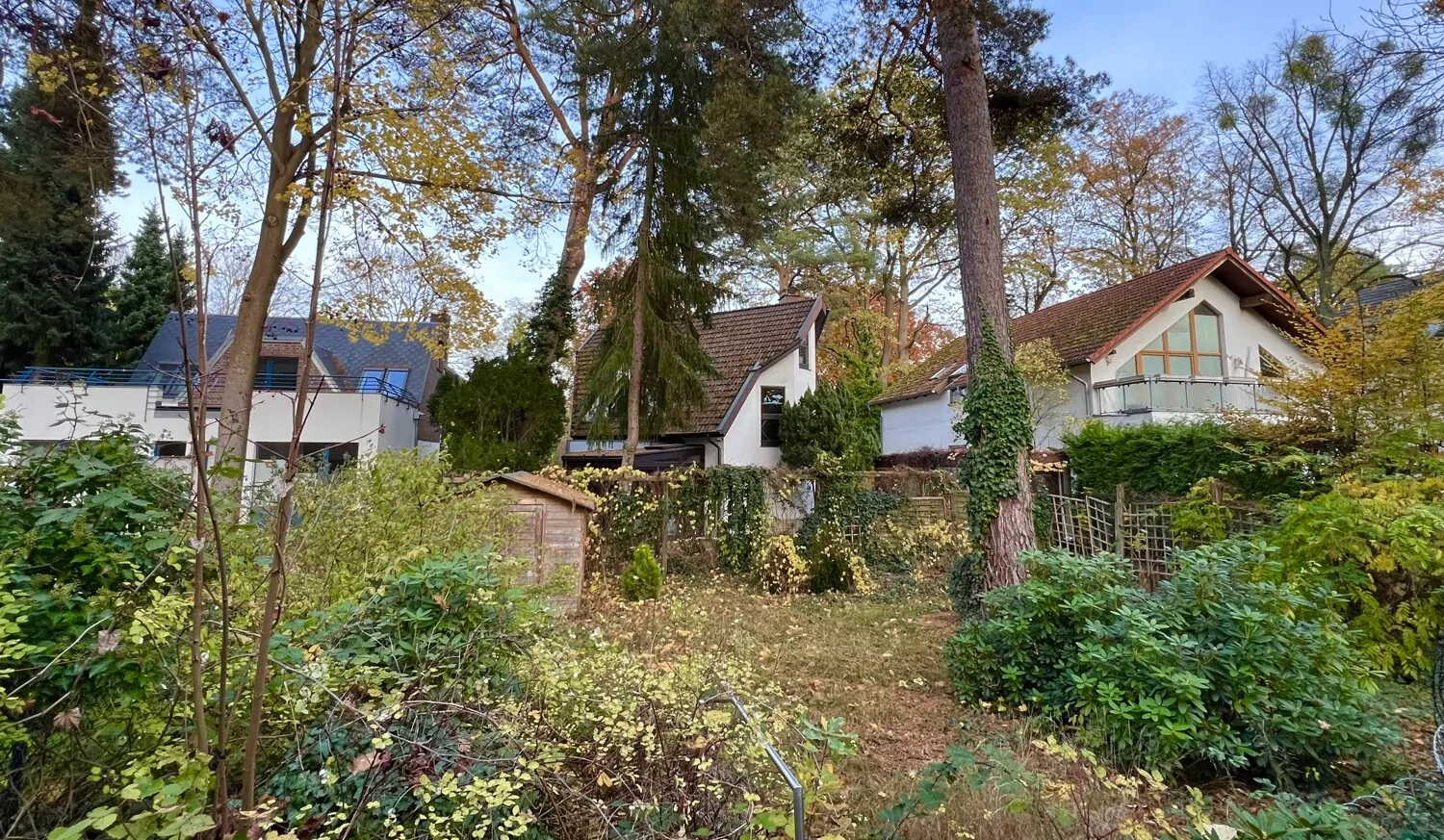 Blick in den herbstlichen Garten