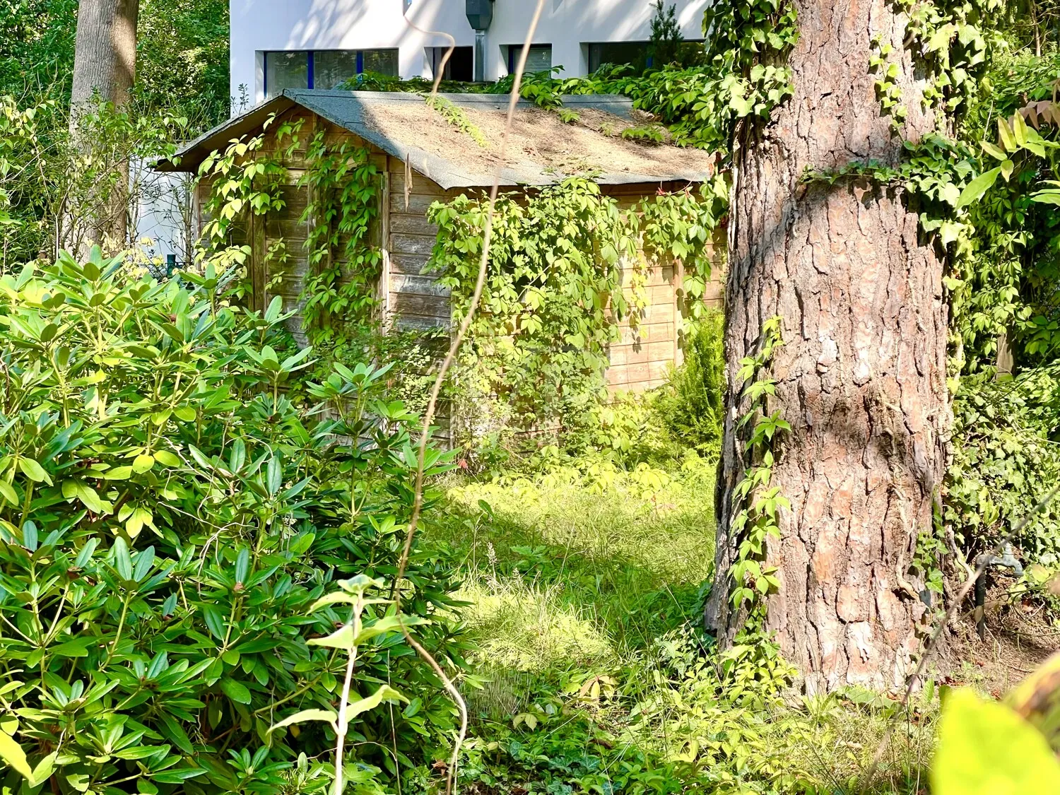 Detail hinterer Garten