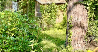 von_poll_real_estate_property_25213023_image_2