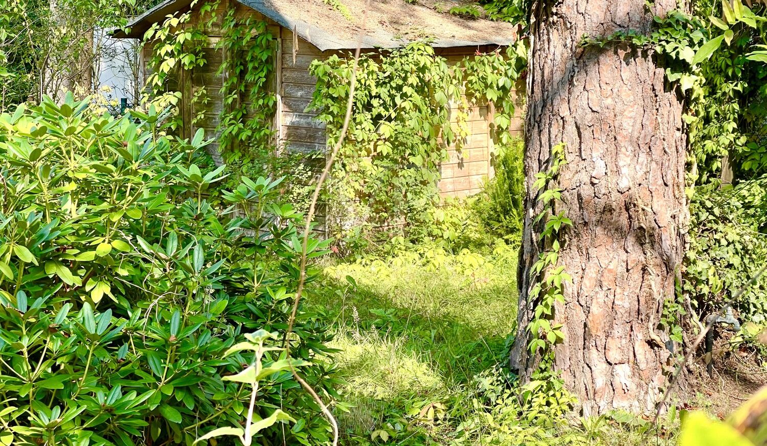Rarität: Schönes Grundstück mit Altbestand in sehr guter Schlachtensee-Lage - nur 850 m bis zum See!
