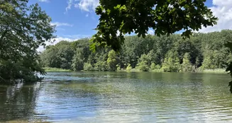 von_poll_real_estate_property_25213023_image_4