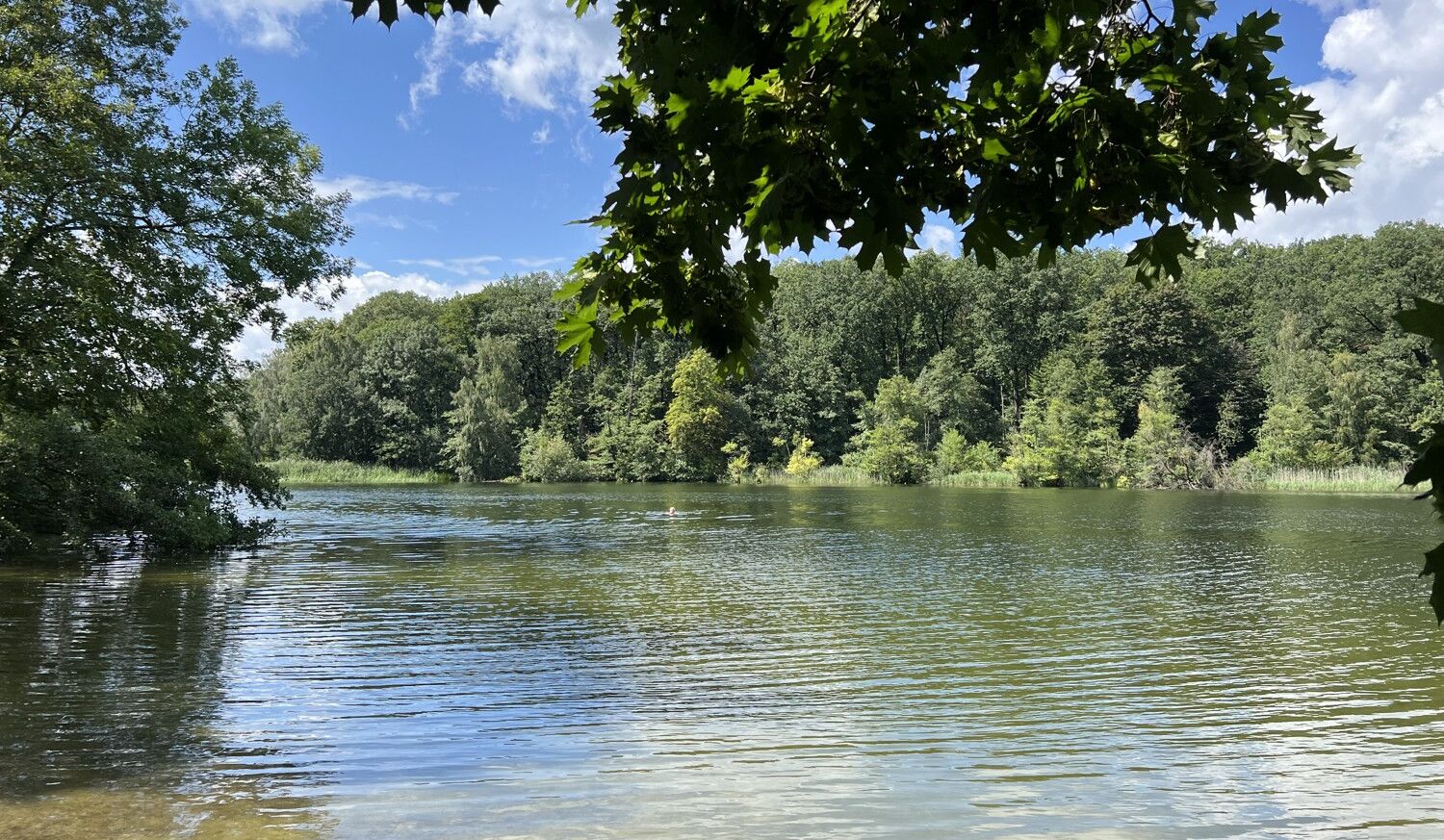 Baden im Schlachtensee