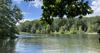 von_poll_real_estate_property_25213023_image_6