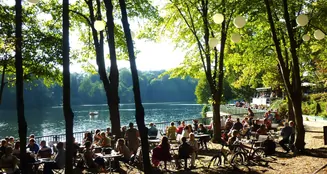 von_poll_real_estate_property_25213023_image_6