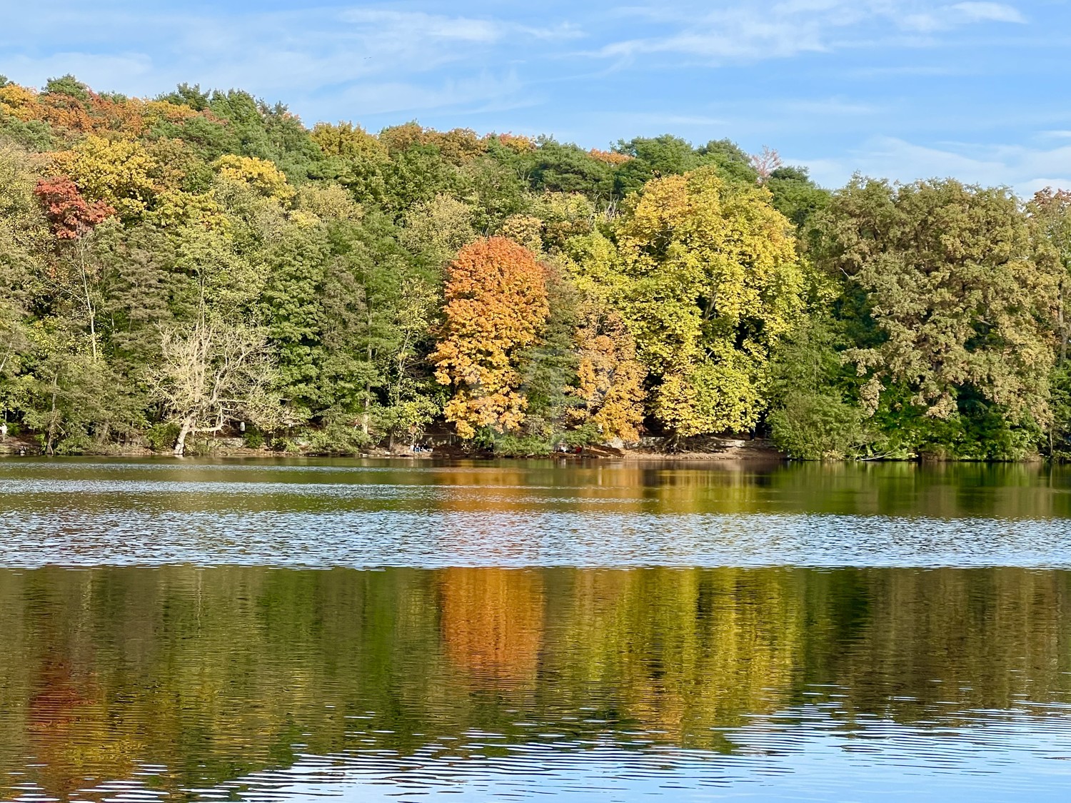 Herbstimpression Schlachtensee