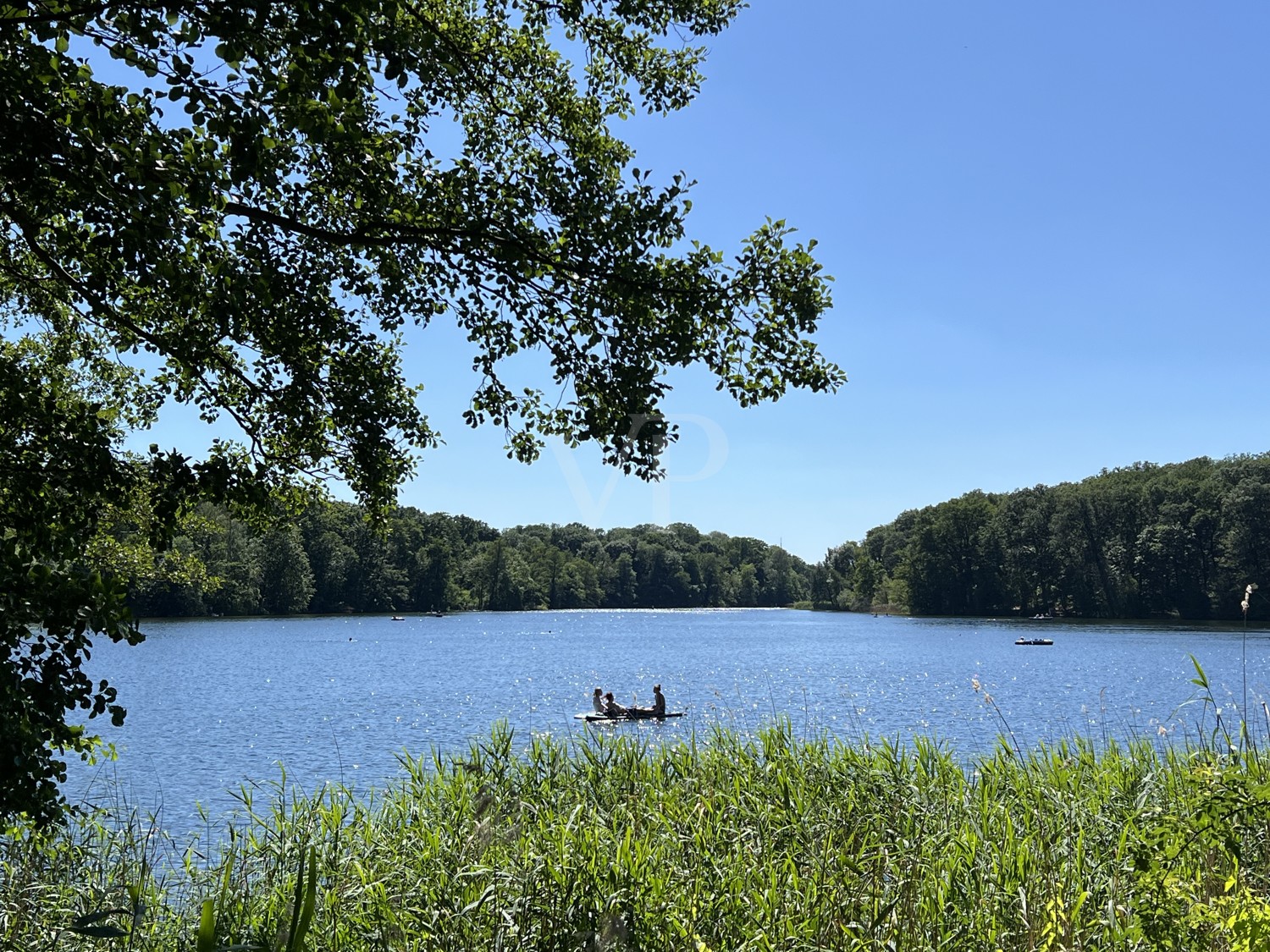 Sommer am Schlachtensee