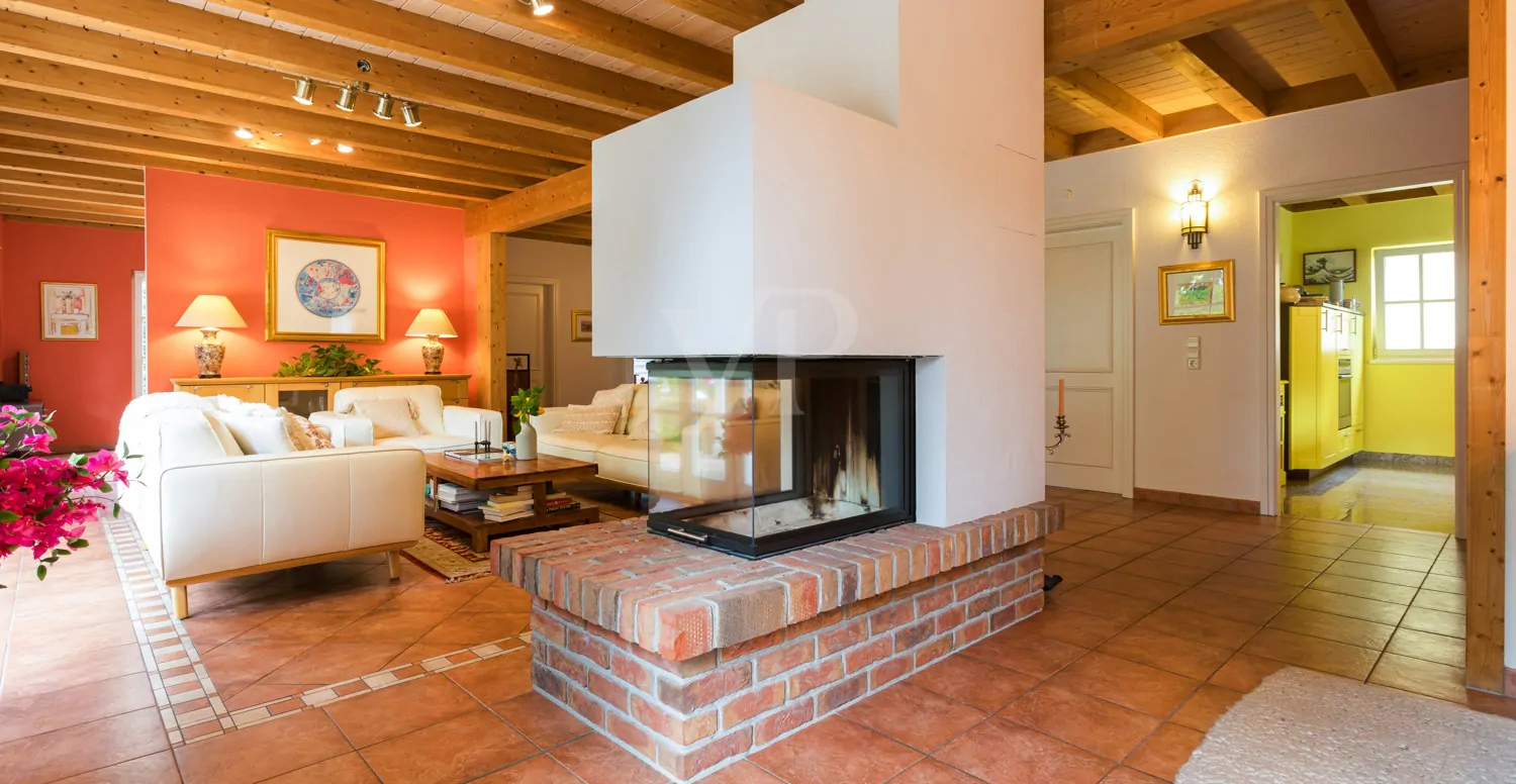 Kamin Wohnbereich