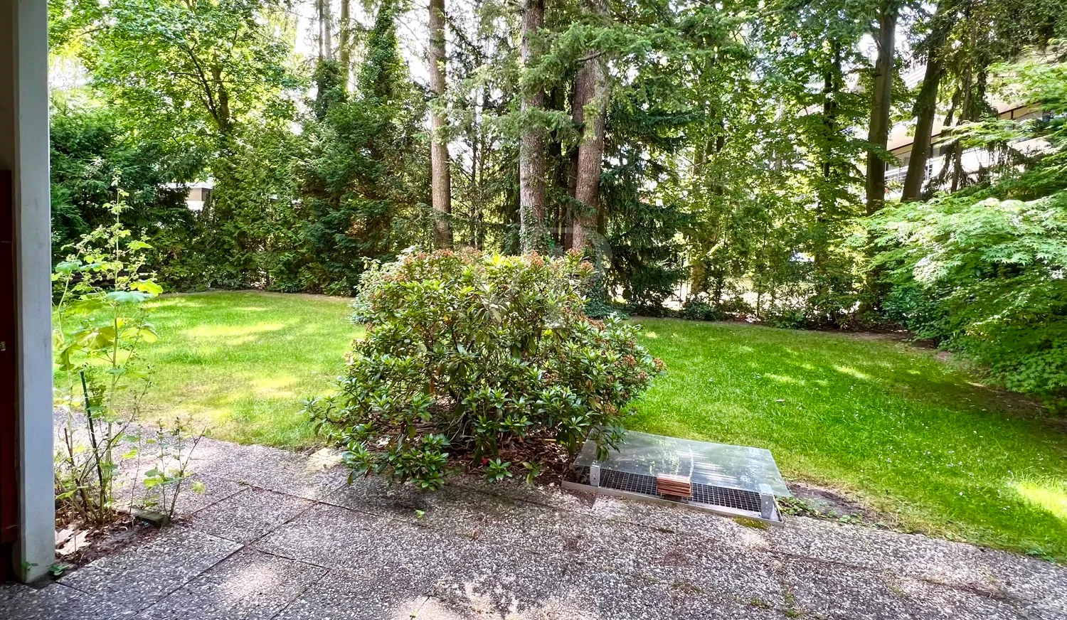 Blick auf Terrasse und Garten