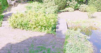von_poll_real_estate_property_25213012_image_17
