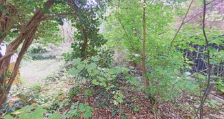von_poll_real_estate_property_25213008_image_16