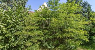 von_poll_real_estate_property_25331037_image_4