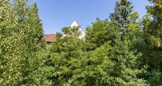 von_poll_real_estate_property_25331037_image_3