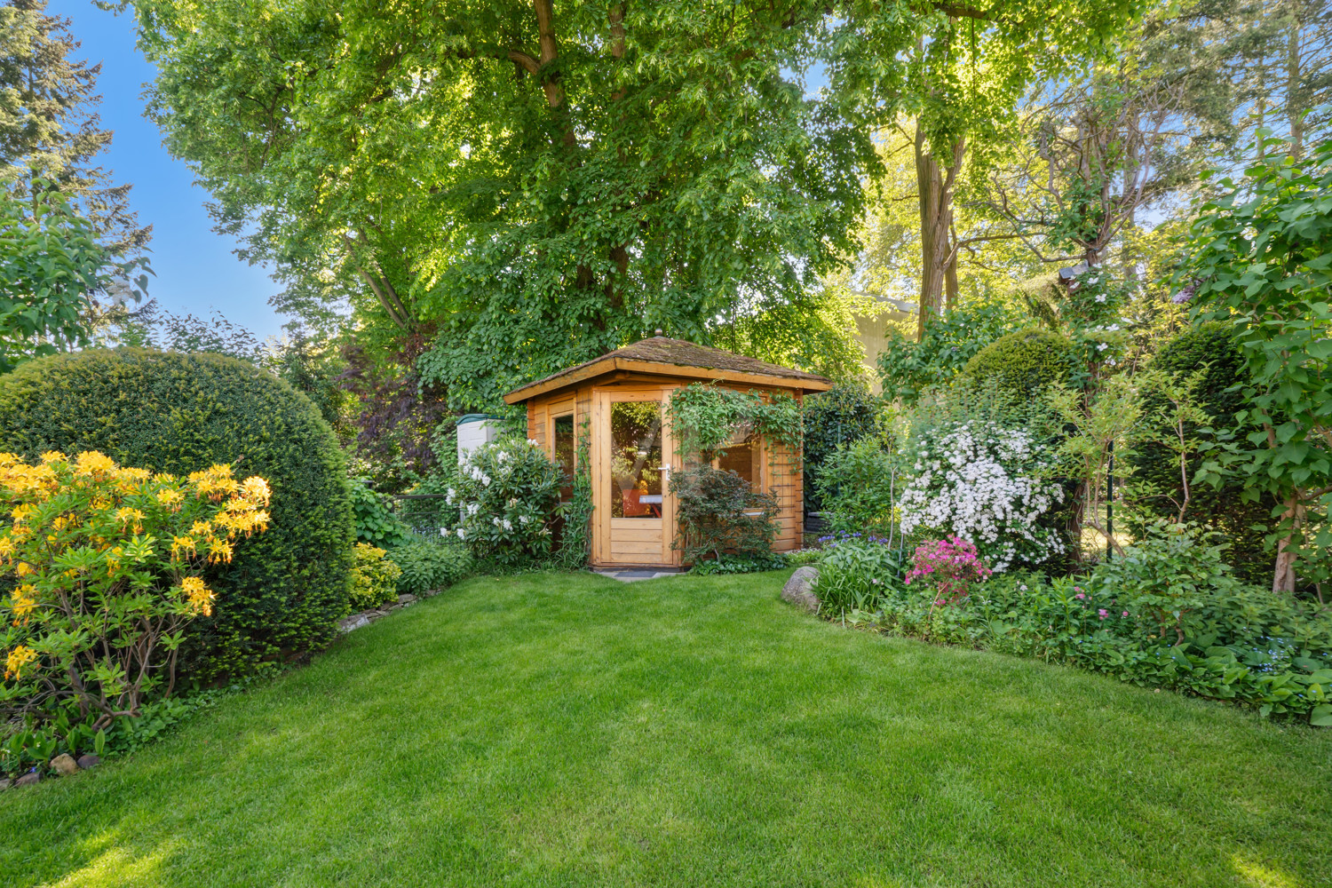 Blick in den Garten
