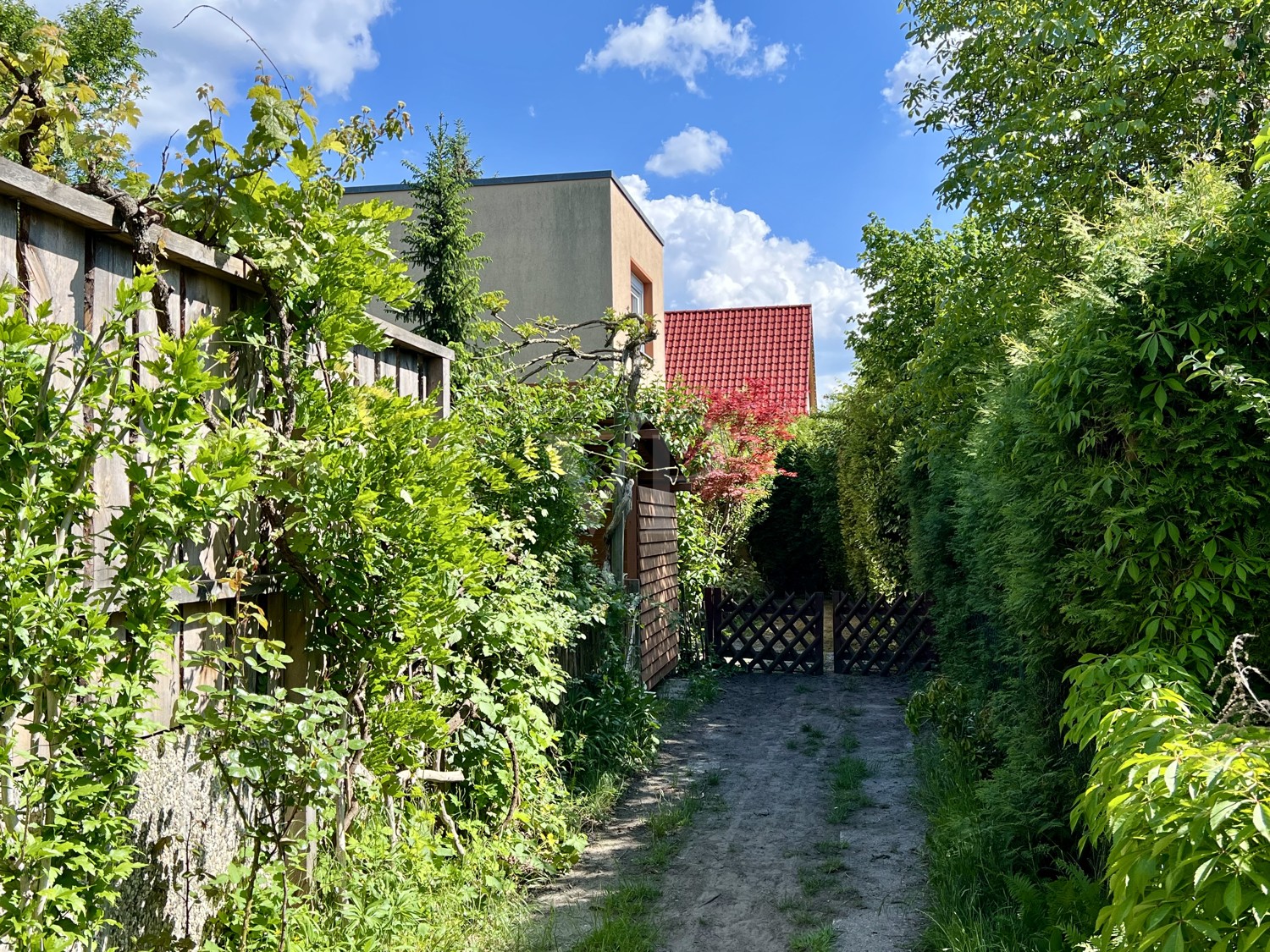 Weg zum Haus