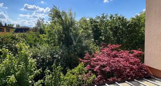 von_poll_real_estate_property_25331031_image_14