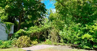 von_poll_real_estate_property_25213020_image_23