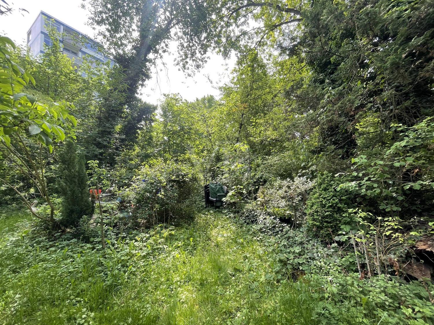 Gemeinschaftsgarten