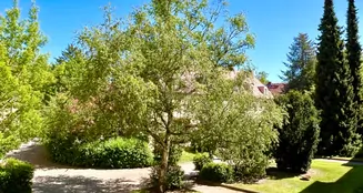 von_poll_real_estate_property_25331033_image_12