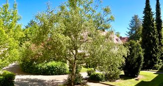 von_poll_real_estate_property_25331033_image_12