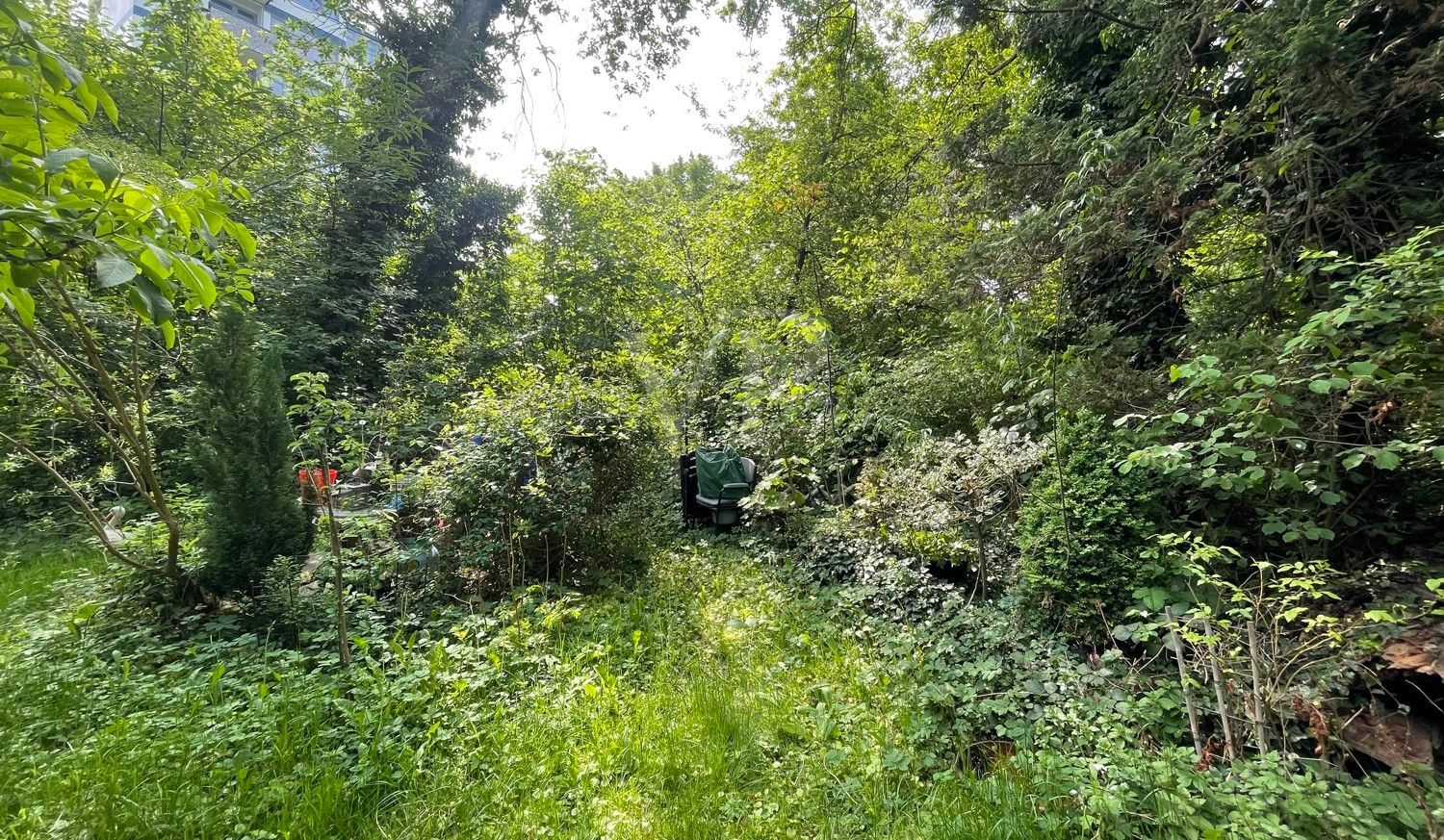 Gemeinschaftsgarten