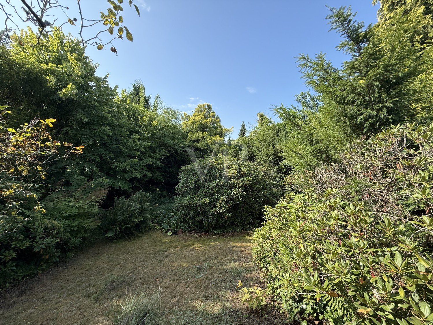 Gartenansicht 2
