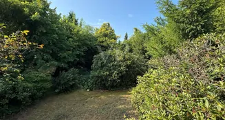 von_poll_real_estate_property_25213017_image_4