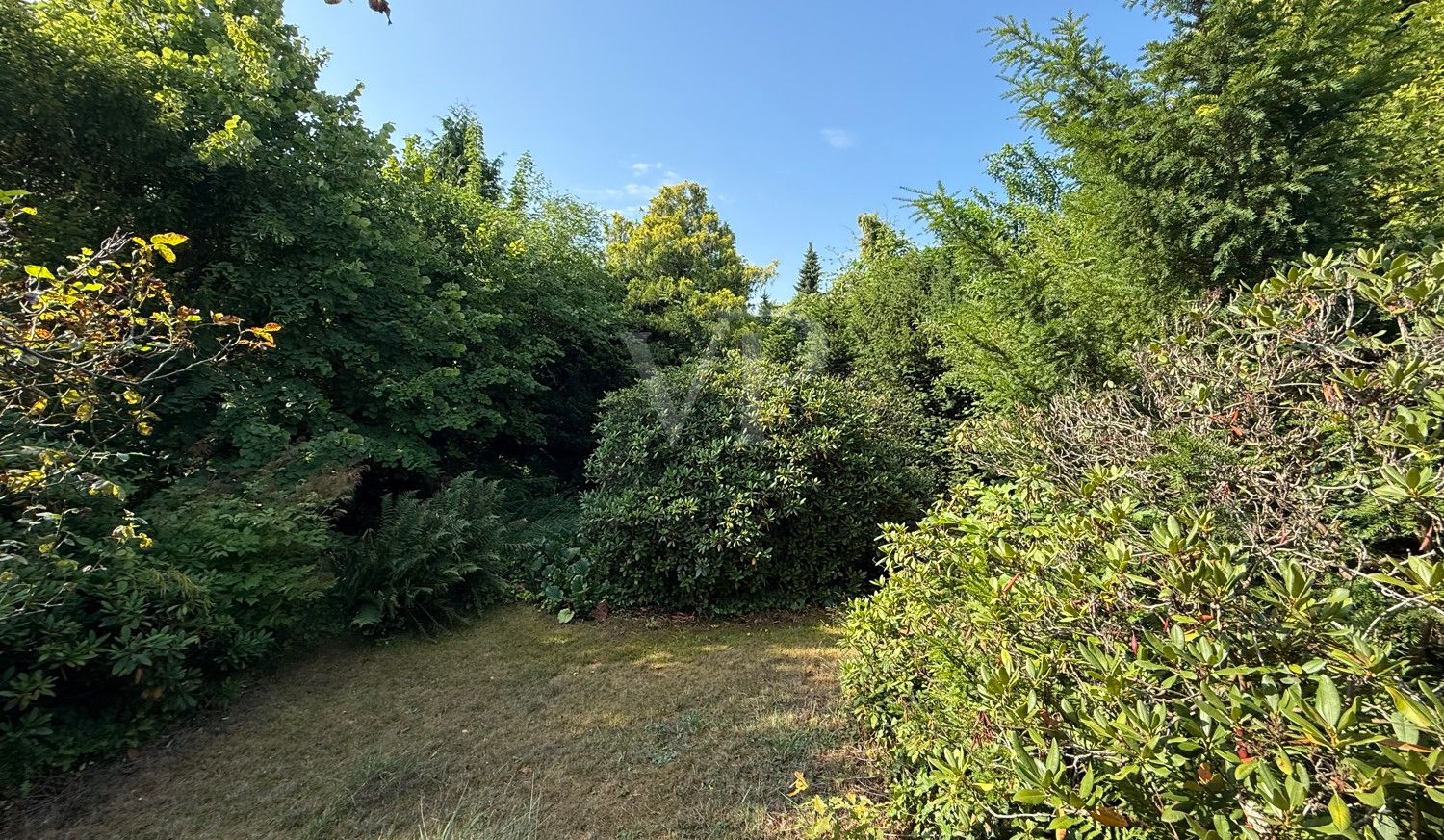 Gartenansicht 2