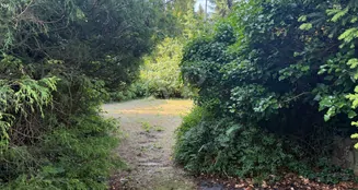 von_poll_real_estate_property_25213017_image_2