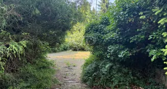 von_poll_real_estate_property_25213017_image_2