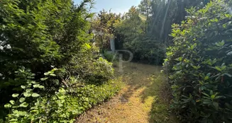 von_poll_real_estate_property_25213017_image_1