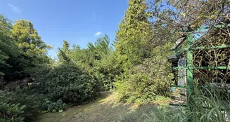 von_poll_real_estate_property_25213017_image_0