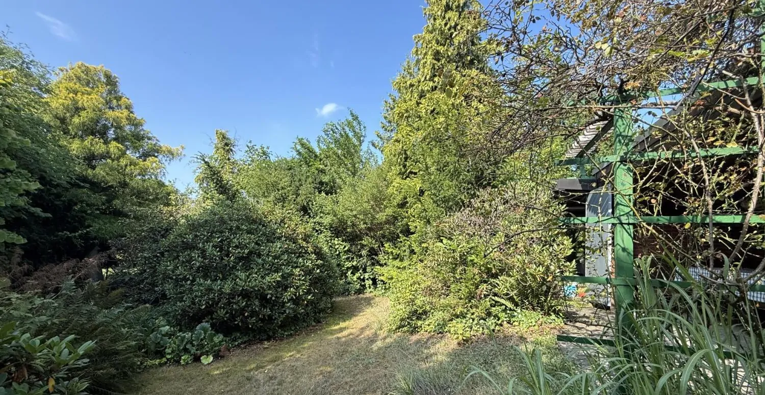 Großes sonniges Südgrundstück mit Altbestand