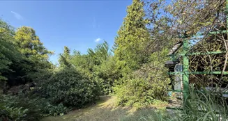 von_poll_real_estate_property_25213017_image_0