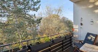 von_poll_real_estate_property_25331055_image_12