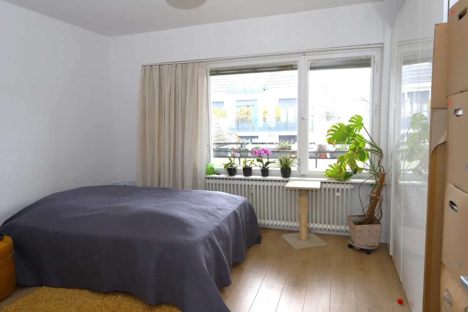 Vermietete 2 Zimmer Wohnung in bester Steglitzer Lage