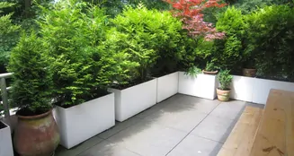 von_poll_real_estate_property_25178014_image_10