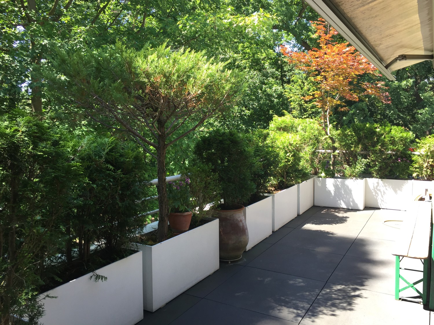 Terrasse