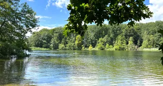 von_poll_real_estate_property_25213018_image_10