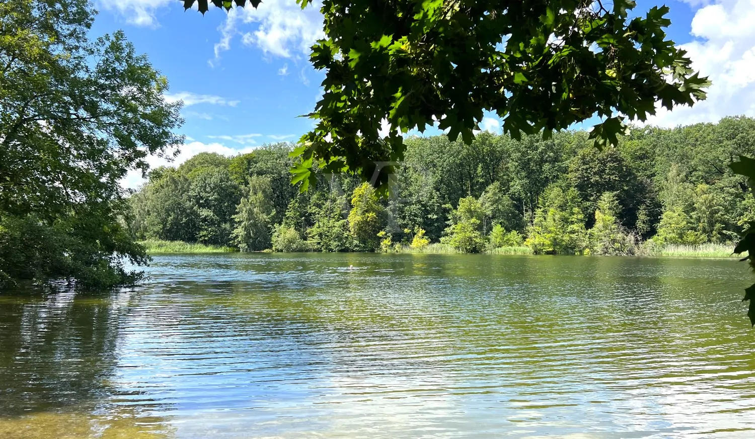 Baden im Schlachtensee