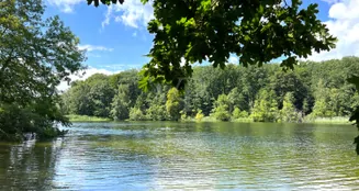 von_poll_real_estate_property_25213018_image_10