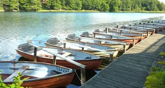 von_poll_real_estate_property_25213018_image_11