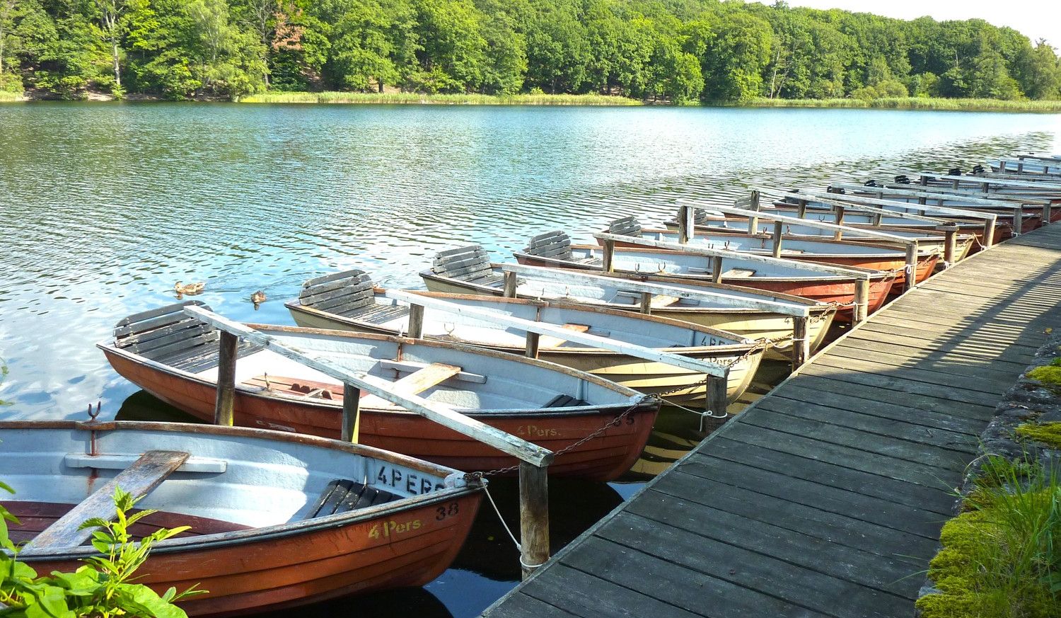 Ruderbootverleih