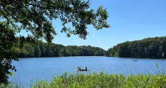 von_poll_real_estate_property_25213018_image_12