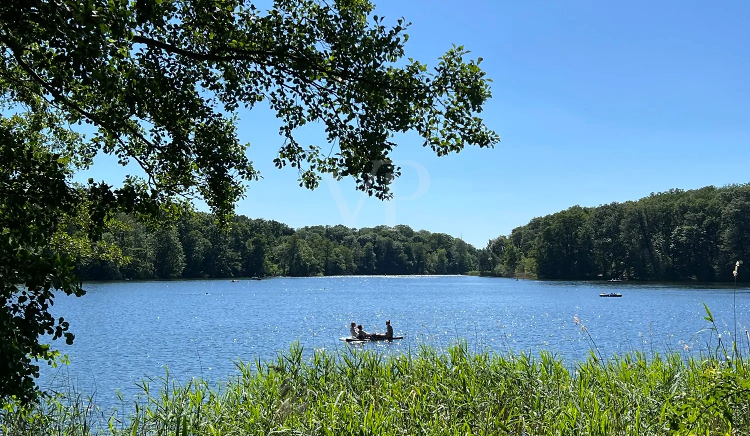 Sommer am Schlachtensee
