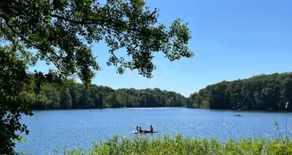 von_poll_real_estate_property_25213018_image_12