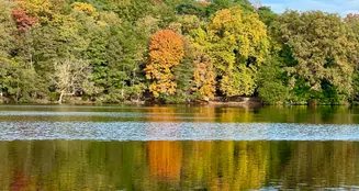 von_poll_real_estate_property_25213018_image_13