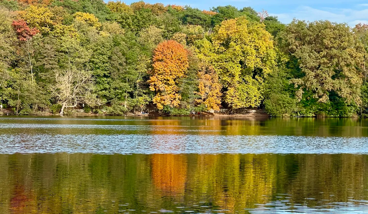 Impression Schlachtensee
